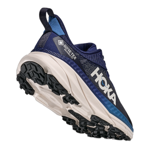 Men's Challenger ATR 7 GTX