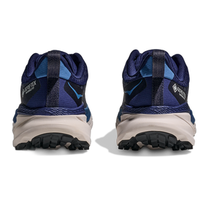 Men's Challenger ATR 7 GTX