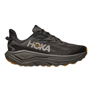 Men's Challenger 8 GTX