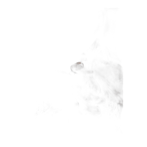 Women's ADV Essence Running Tights