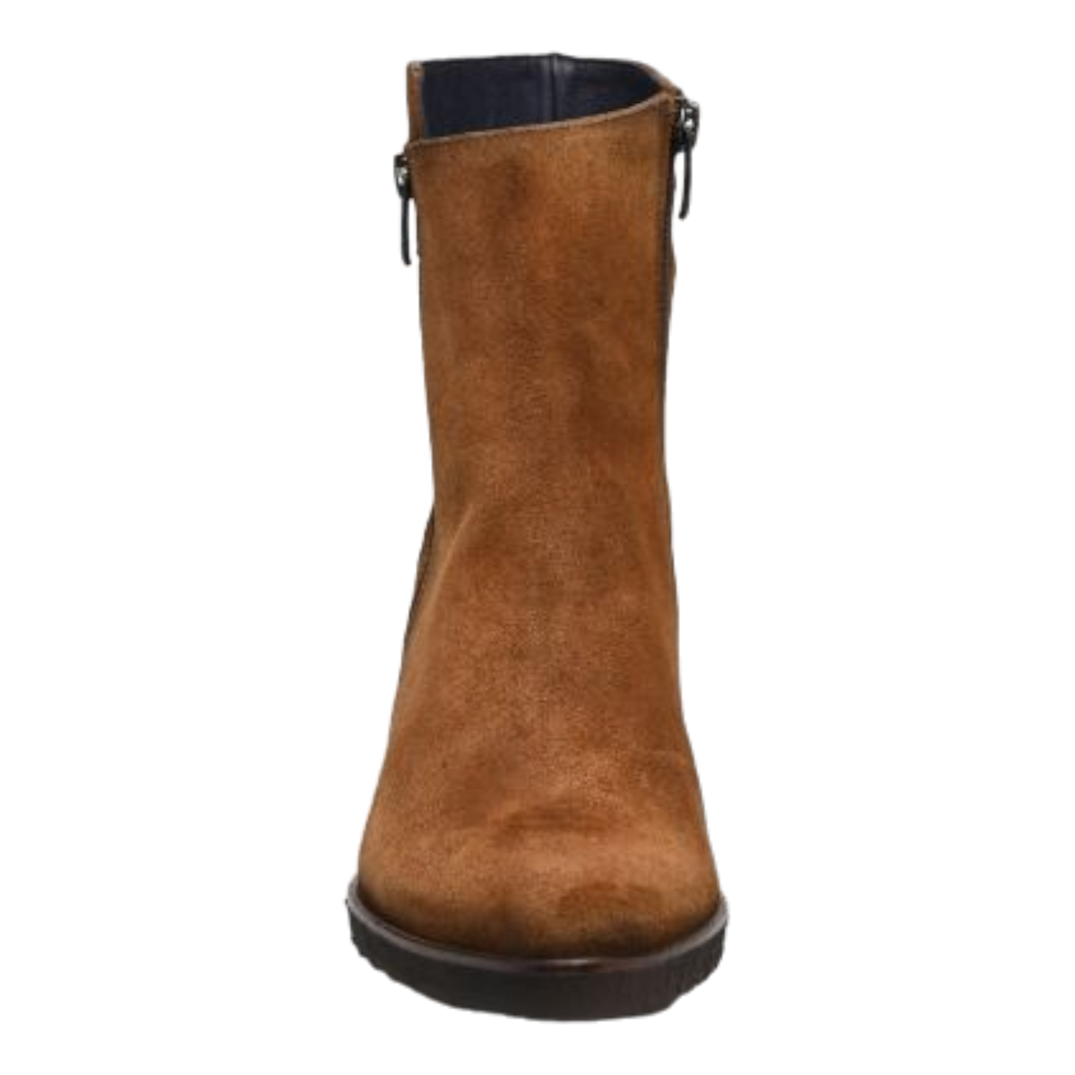 Dorking - Thais D8896