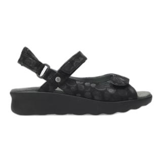 Pichu - Black / M / 36
