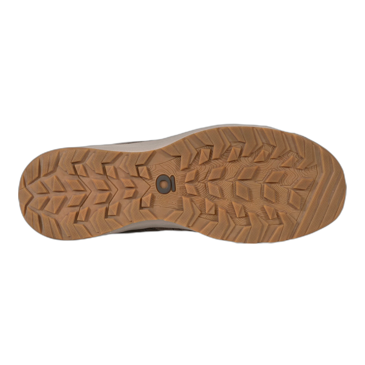 Men's Bozeman II Low