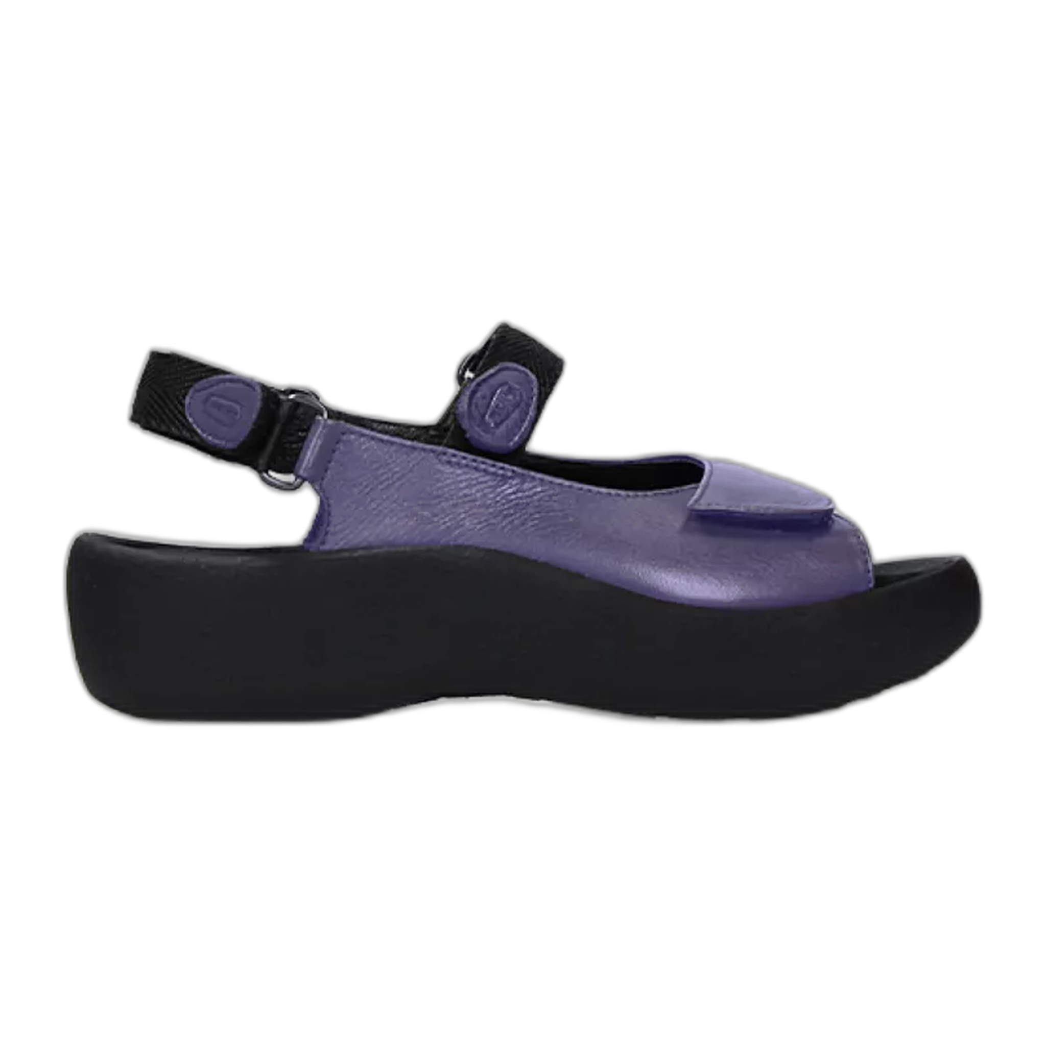 Wolky - Jewel - Purple / M / 36