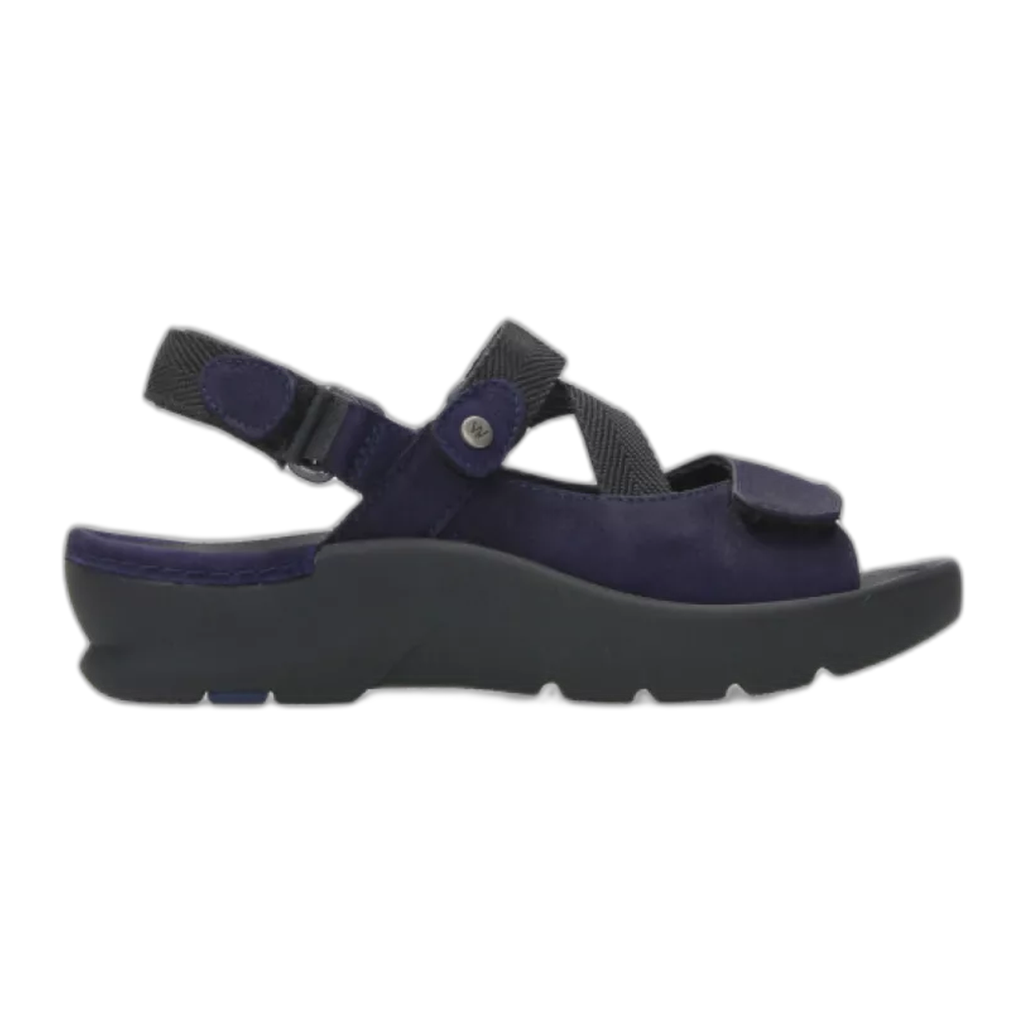 Wolky - Lisse - Purple / M / 38