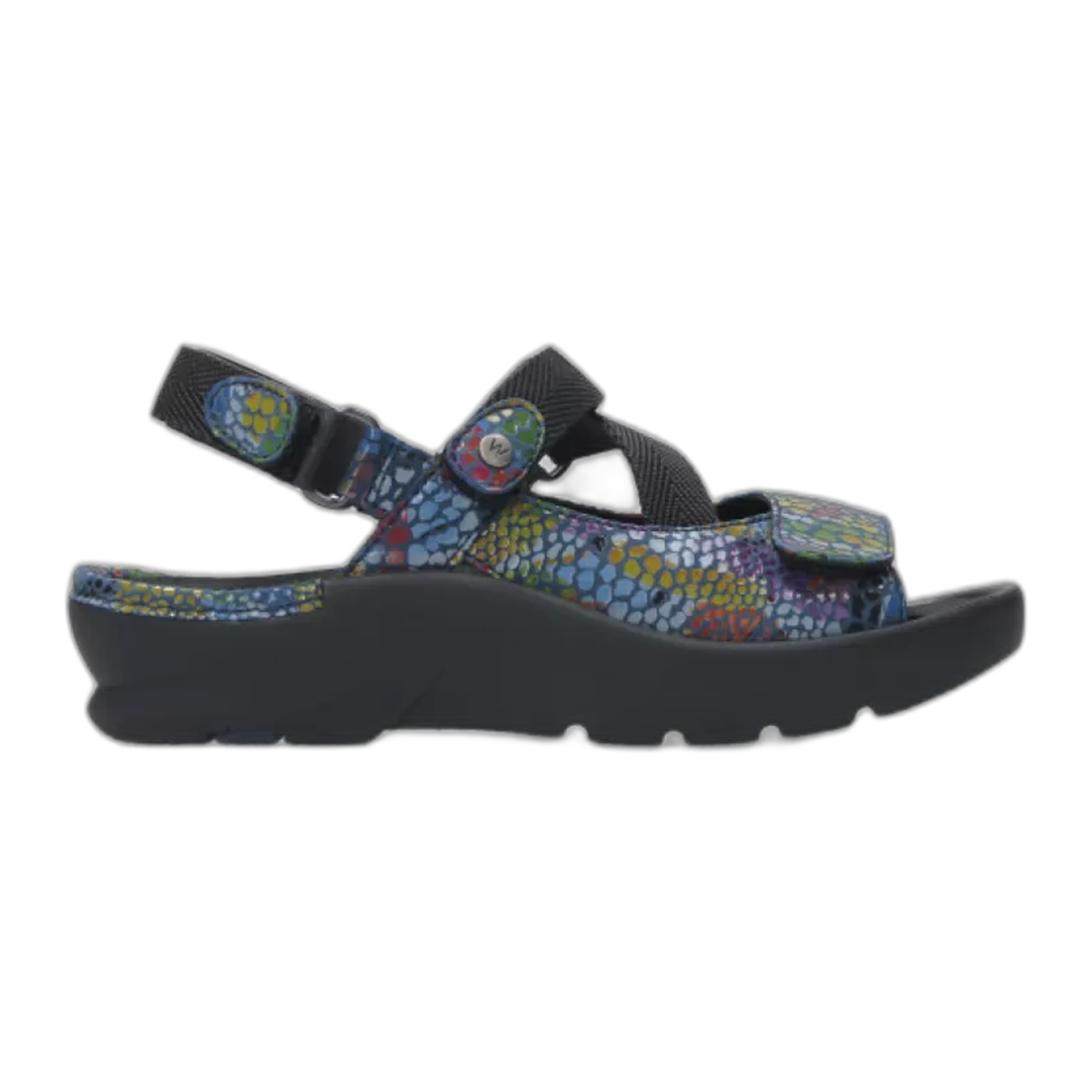 Wolky - Lisse - Blue Multi Color Leather / M / 36