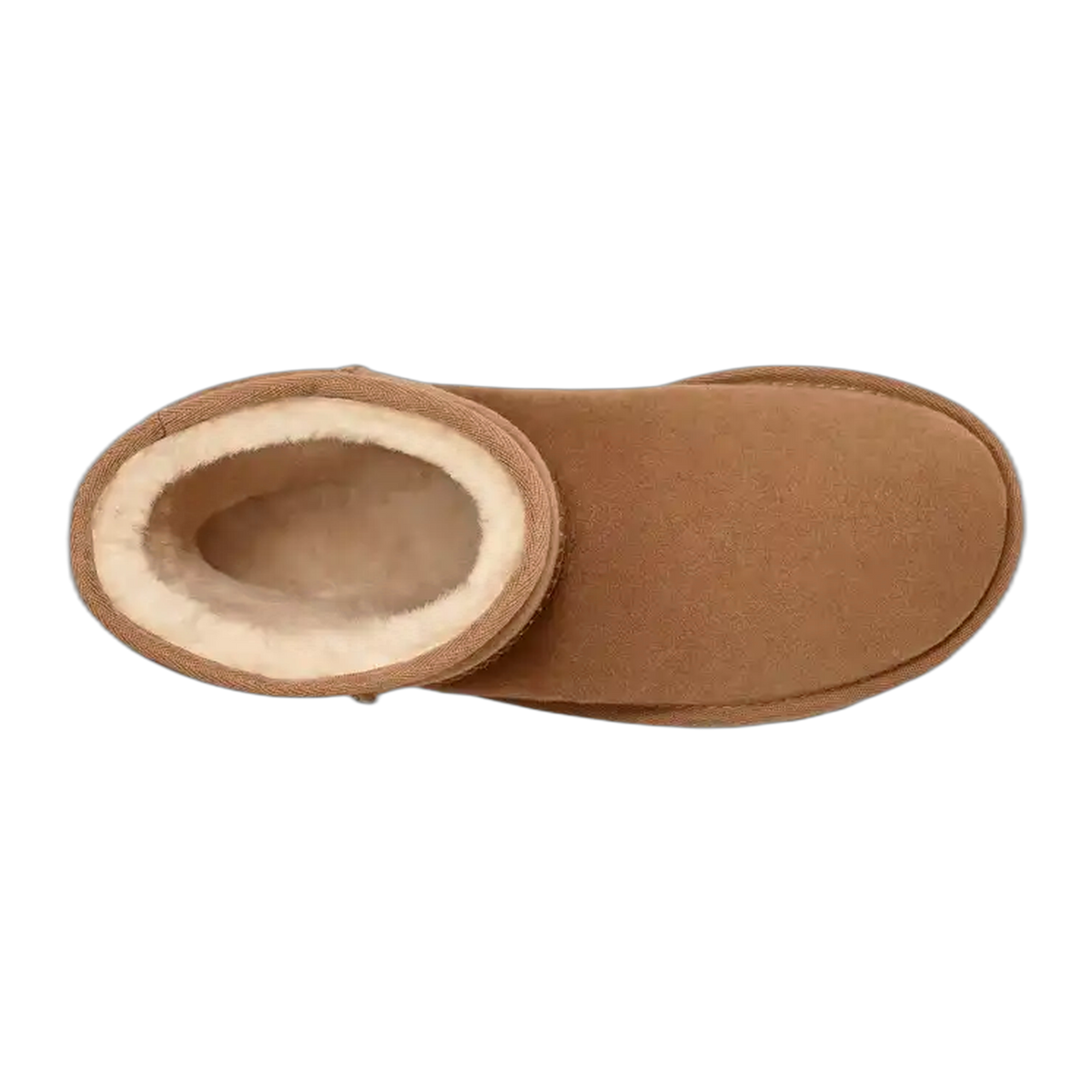 Women's Classic Short II