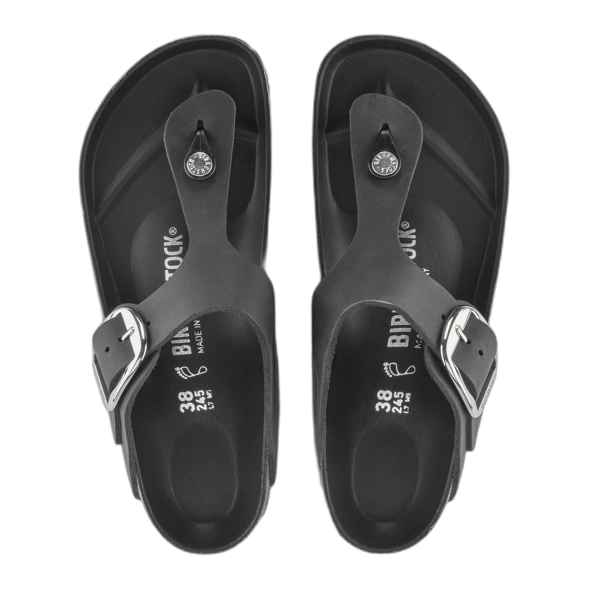 Gizeh Big Buckle Oiled Leather