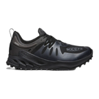 Men's Zionic Waterproof Hiking Shoe