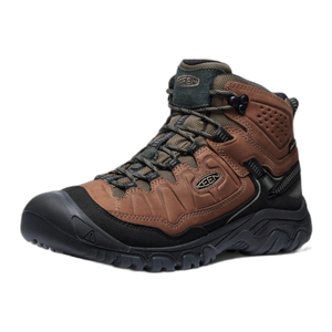 Men's Targhee IV Waterproof Hiking Boot