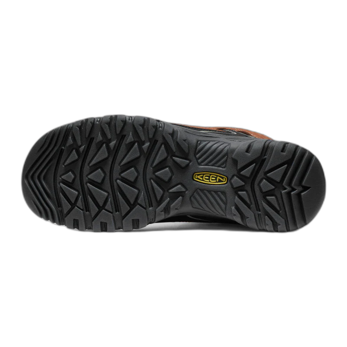 Men's Targhee IV Waterproof Hiking Boot