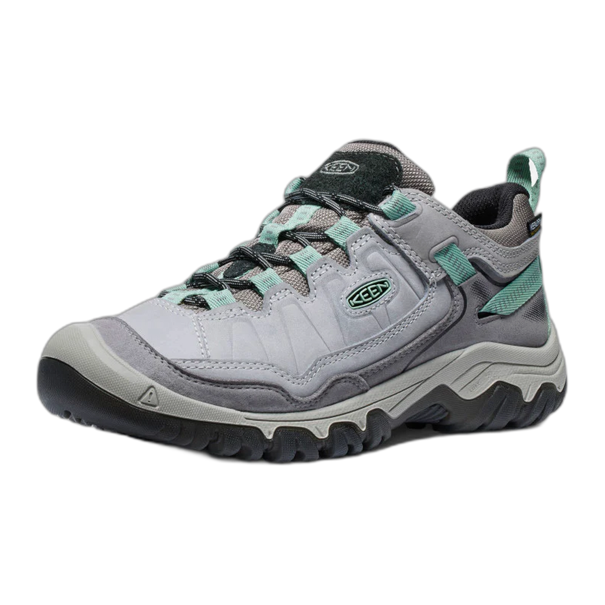 Women's Targhee IV Waterproof Hiking Shoe