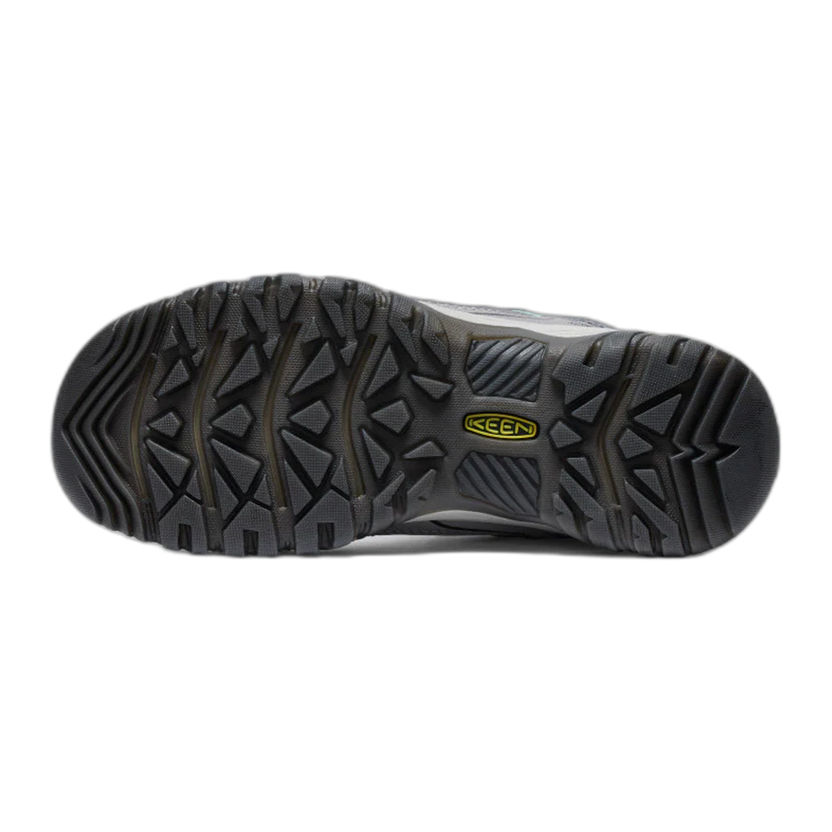 Women's Targhee IV Waterproof Hiking Shoe