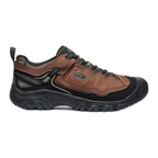 Men's Targhee IV Waterproof Hiking Shoe