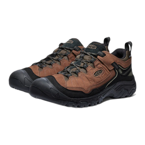 Men's Targhee IV Waterproof Hiking Shoe