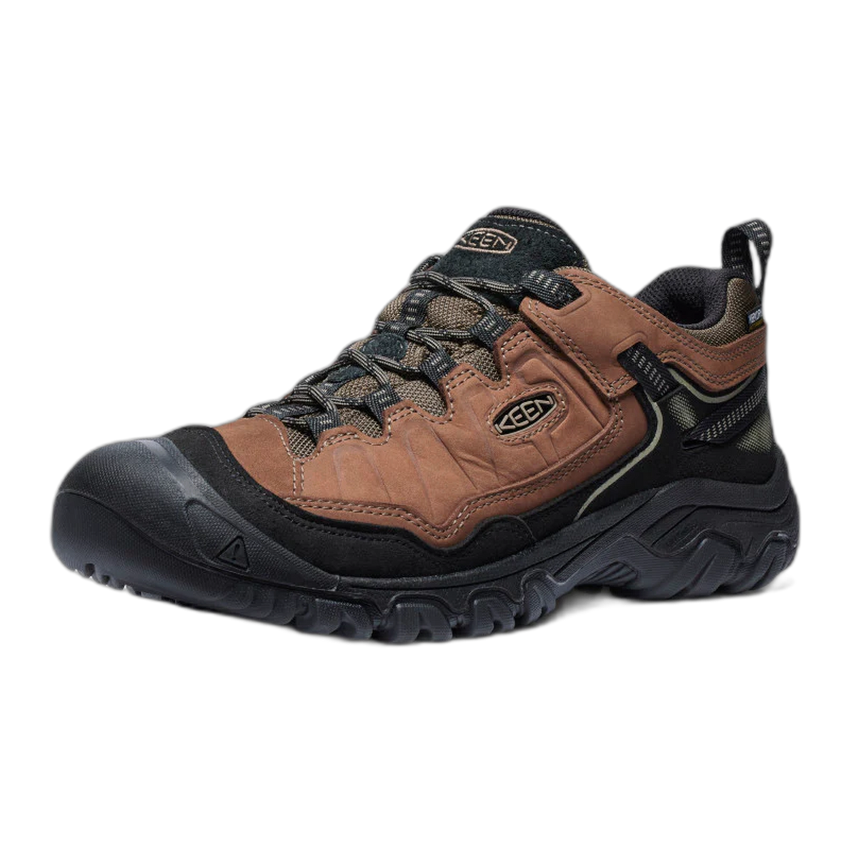 Men's Targhee IV Waterproof Hiking Shoe
