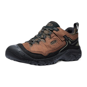 Men's Targhee IV Waterproof Hiking Shoe