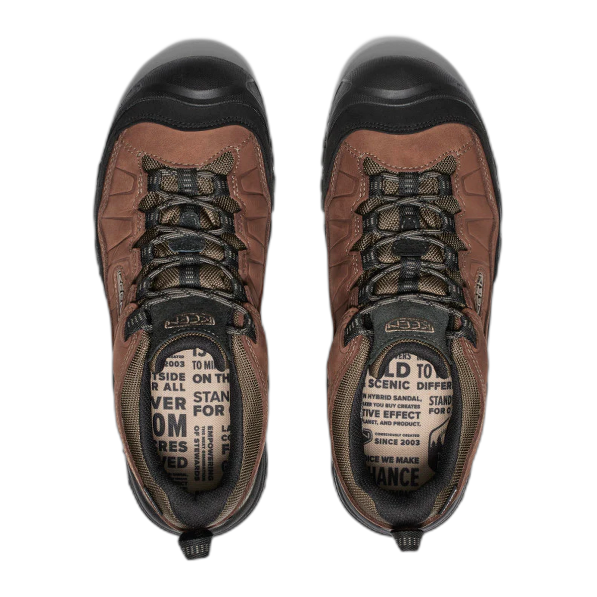 Men's Targhee IV Waterproof Hiking Shoe