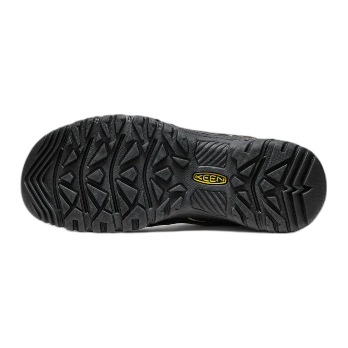 Men's Targhee IV Waterproof Hiking Shoe