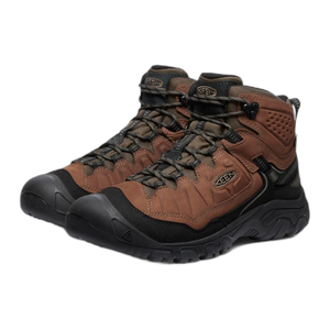 Men's Targhee IV Waterproof Hiking Boot