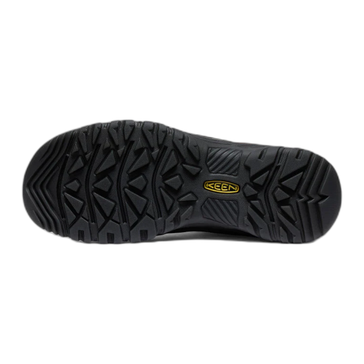 Men's Targhee IV Waterproof Hiking Boot