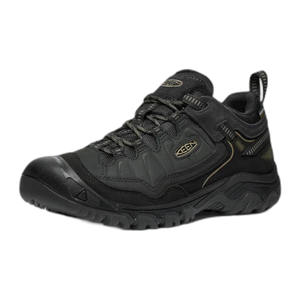 Men's Targhee IV Waterproof Hiking Shoe