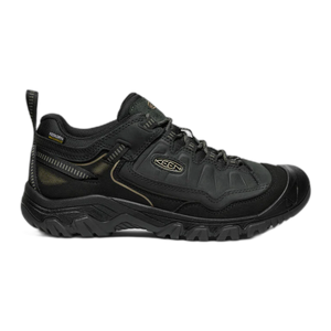 Men's Targhee IV Waterproof Hiking Shoe