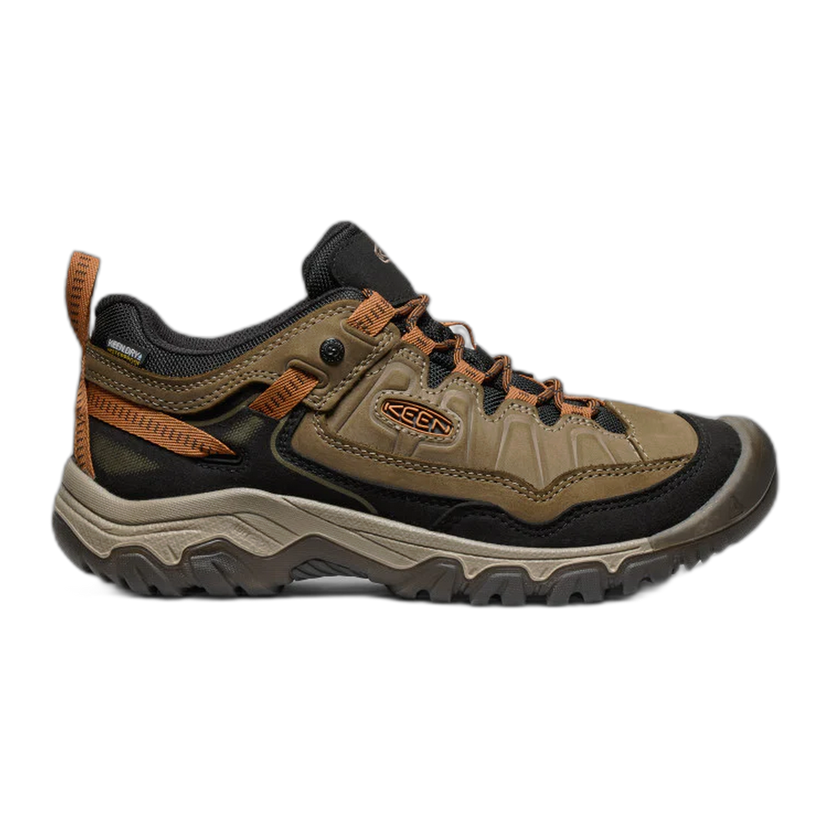 Men's Targhee IV Waterproof Hiking Shoe