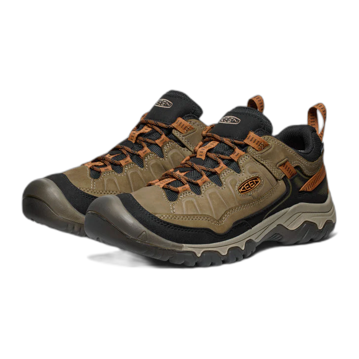 Men's Targhee IV Waterproof Hiking Shoe