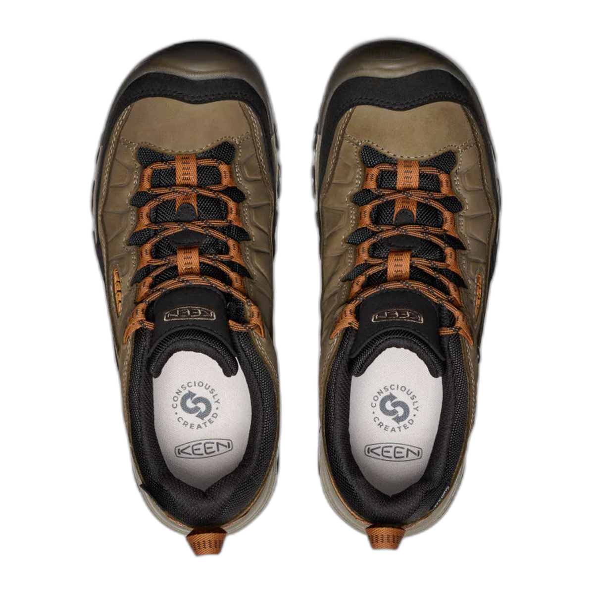 Men's Targhee IV Waterproof Hiking Shoe