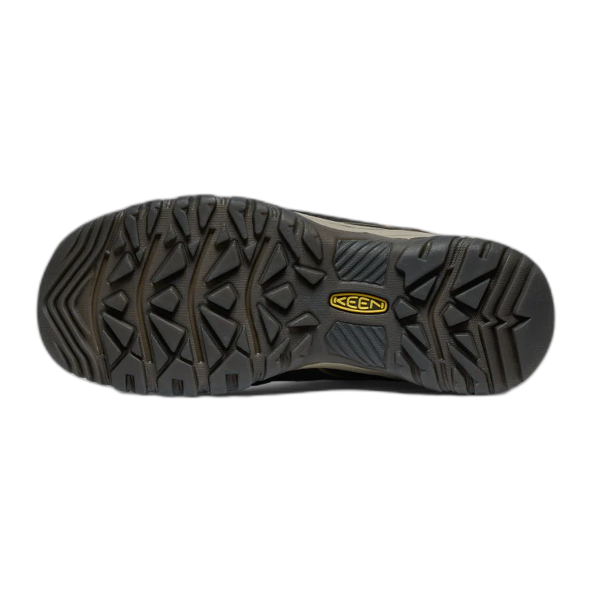 Men's Targhee IV Waterproof Hiking Shoe