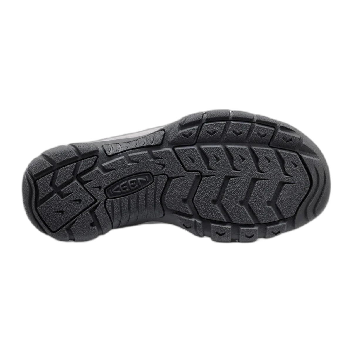 Men's Newport H2 Sandal