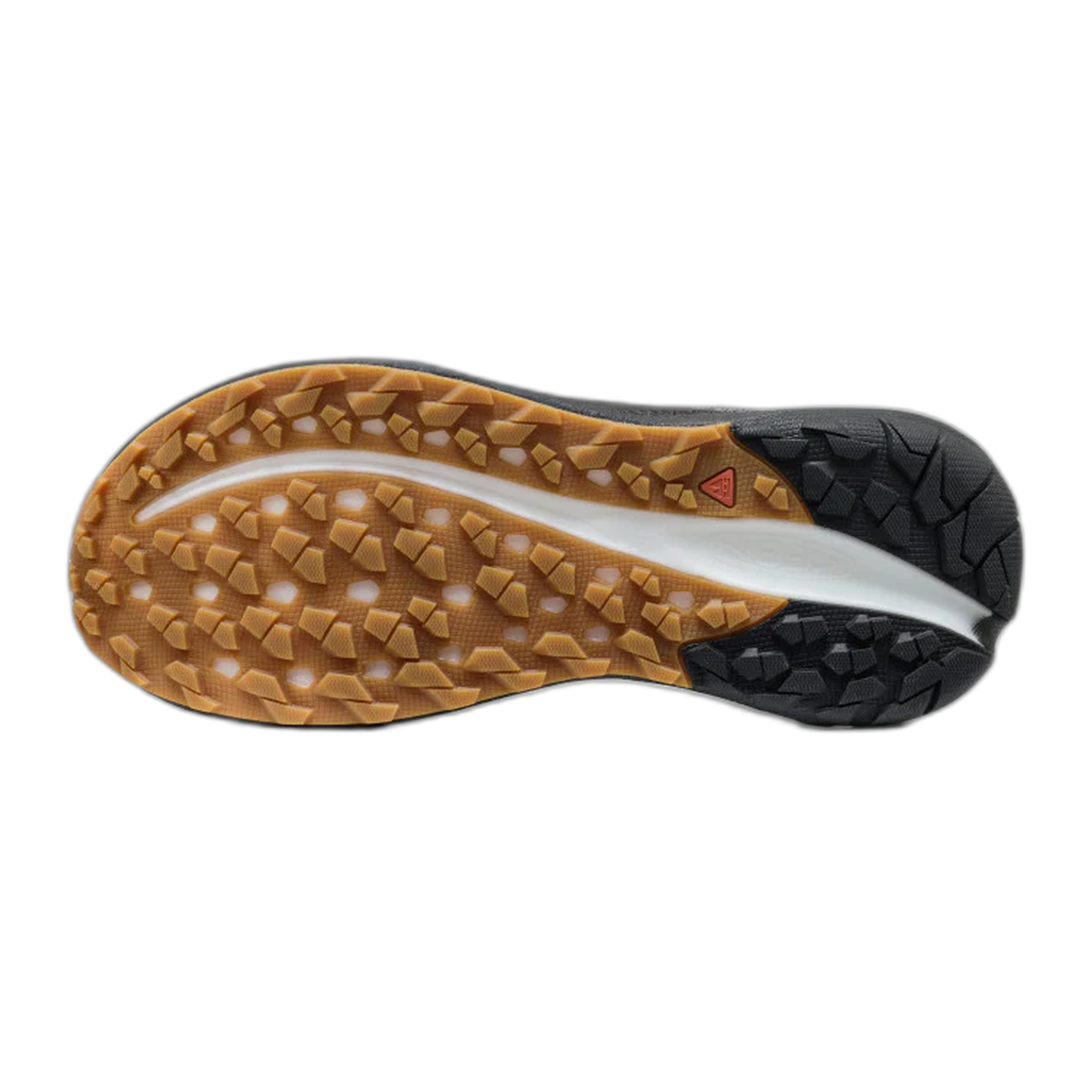Men's Roam Trail Running Shoe