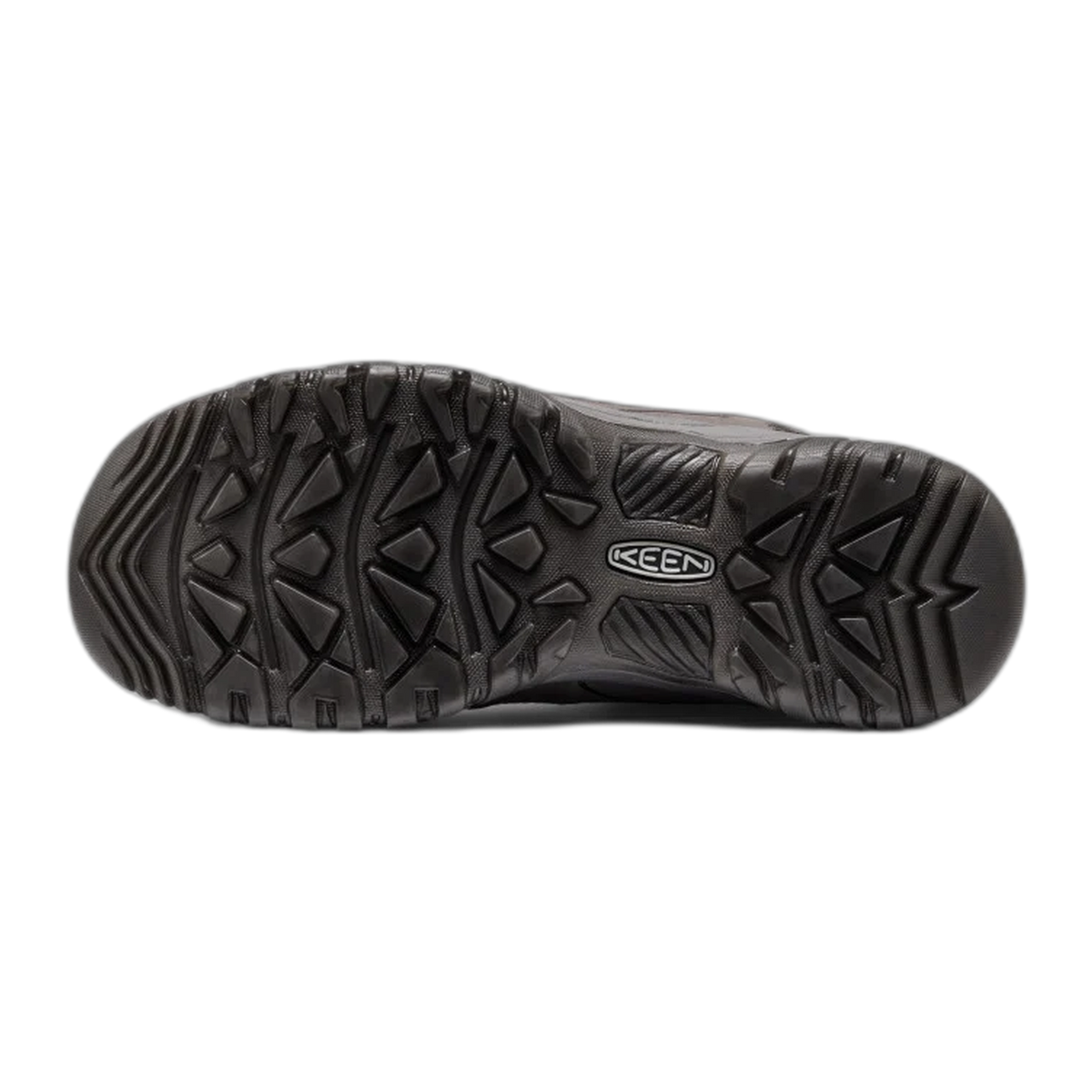 Men's Targhee IV Waterproof Hiking Boot