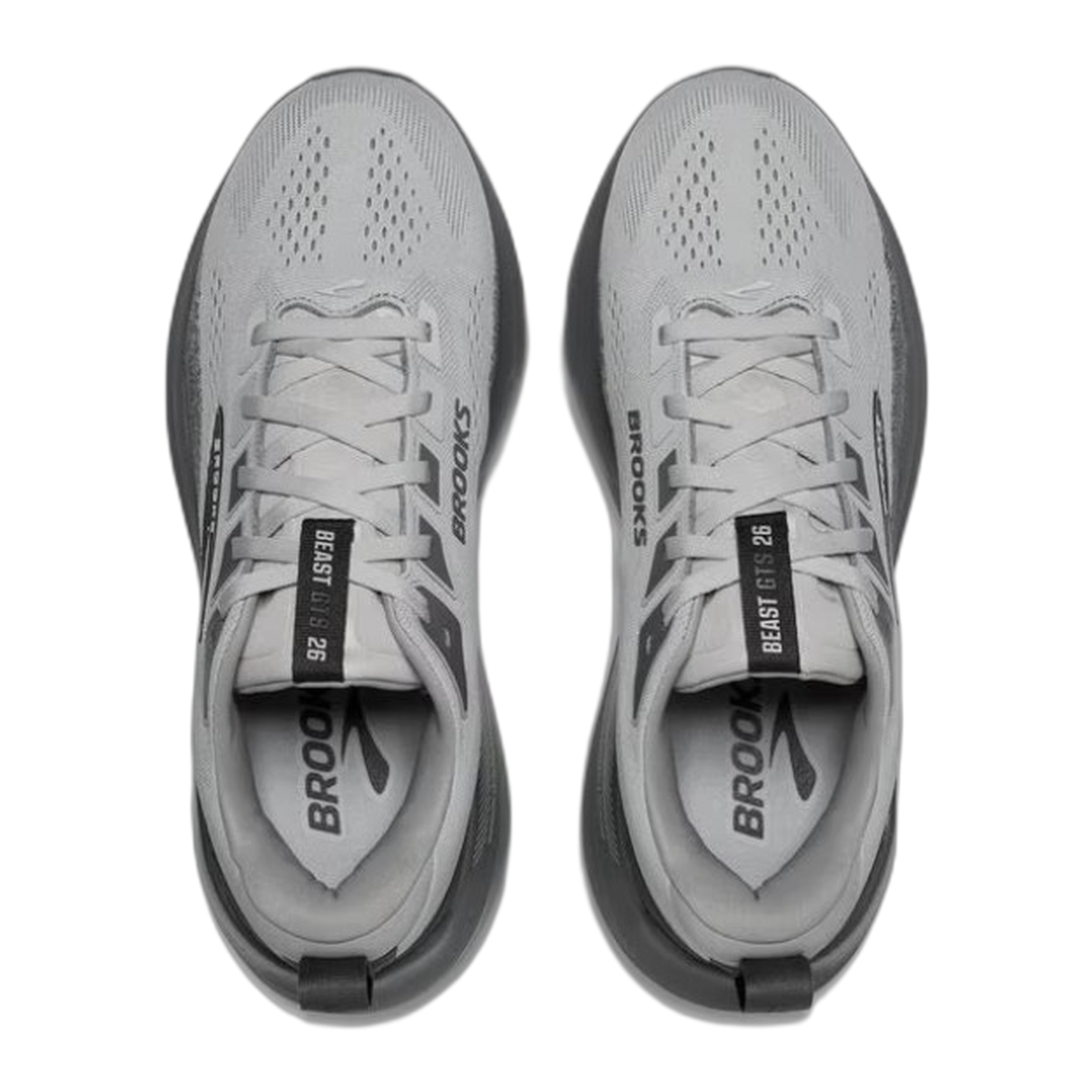 Men's Beast GTS 26