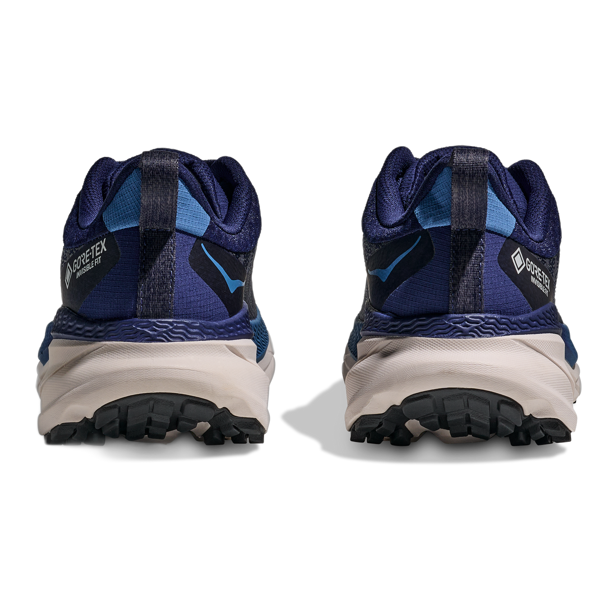 Men's Challenger ATR 7 GTX