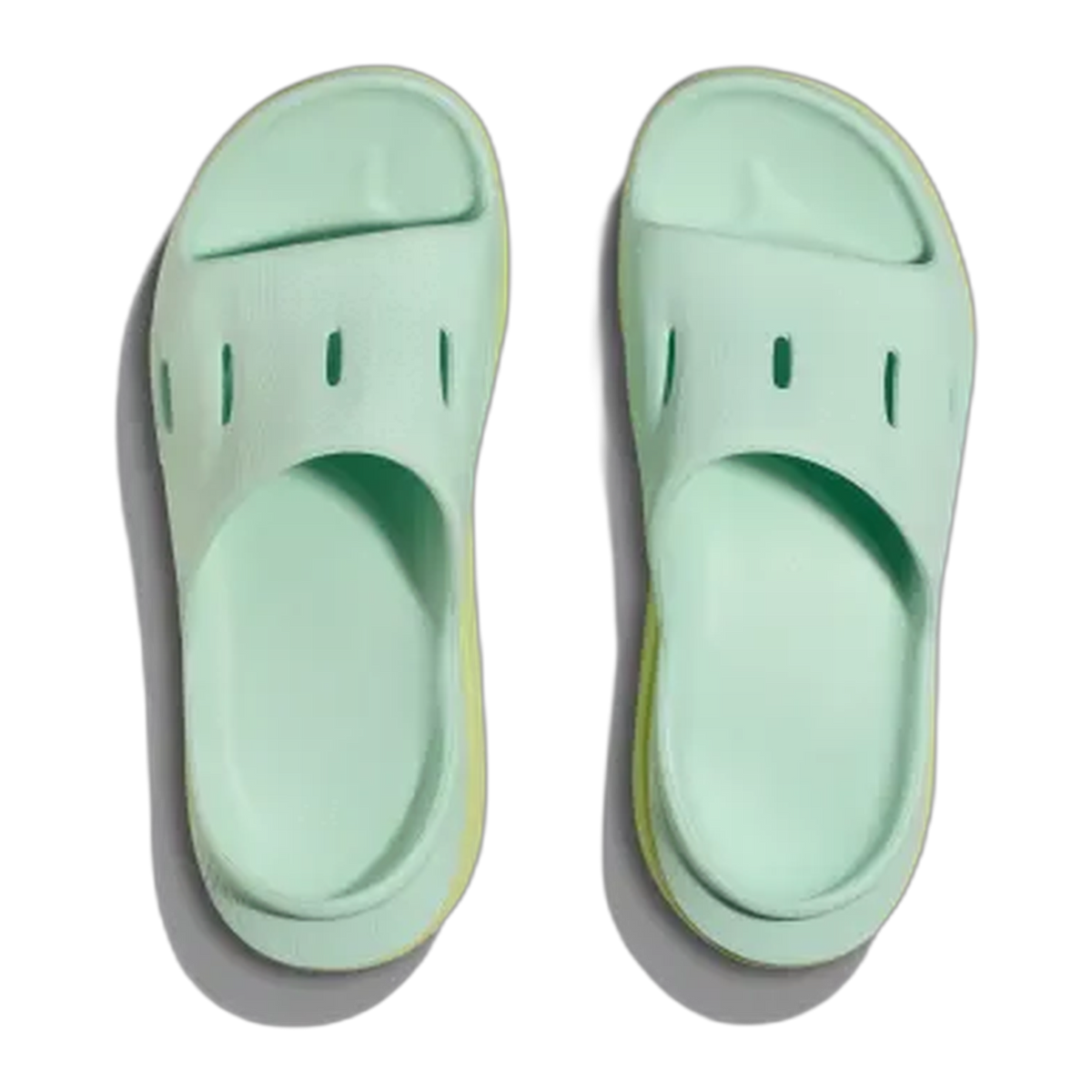 Ora Recovery Slide 3