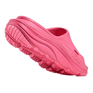 ORA Recovery Slide 3