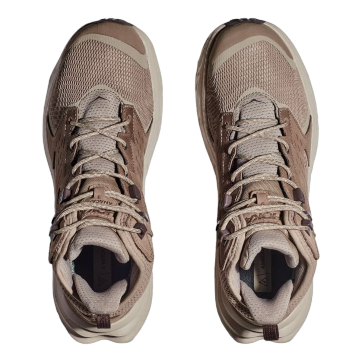 Men's Anacapa 2 Mid GTX