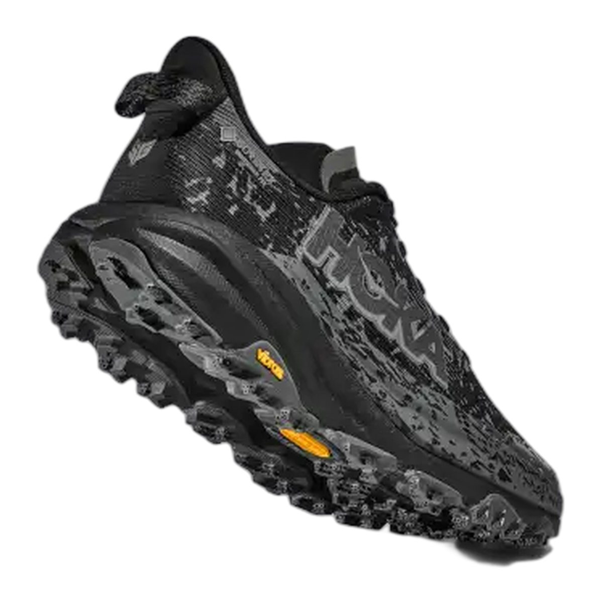 Women's Speedgoat 6 GTX