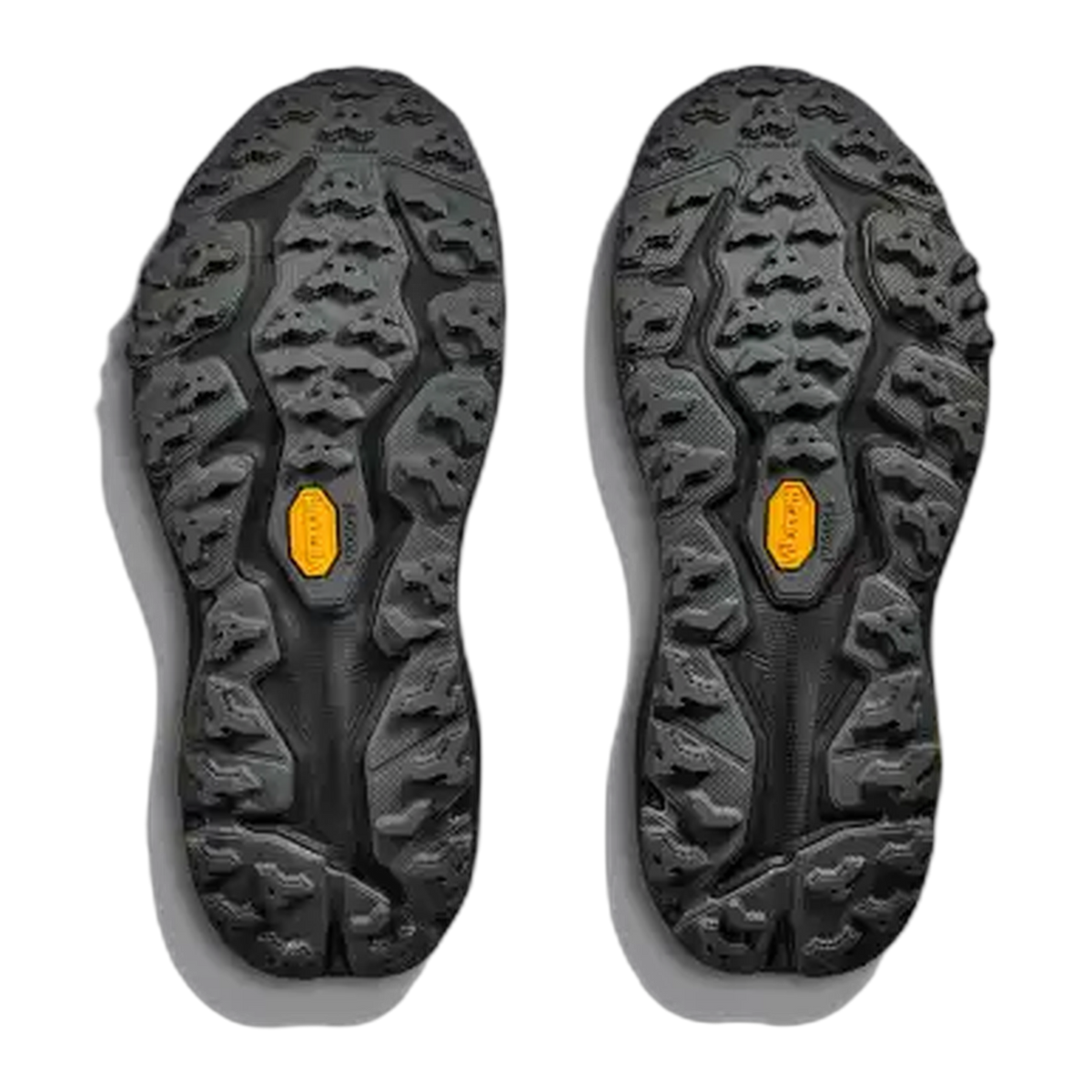 Women's Speedgoat 6 GTX