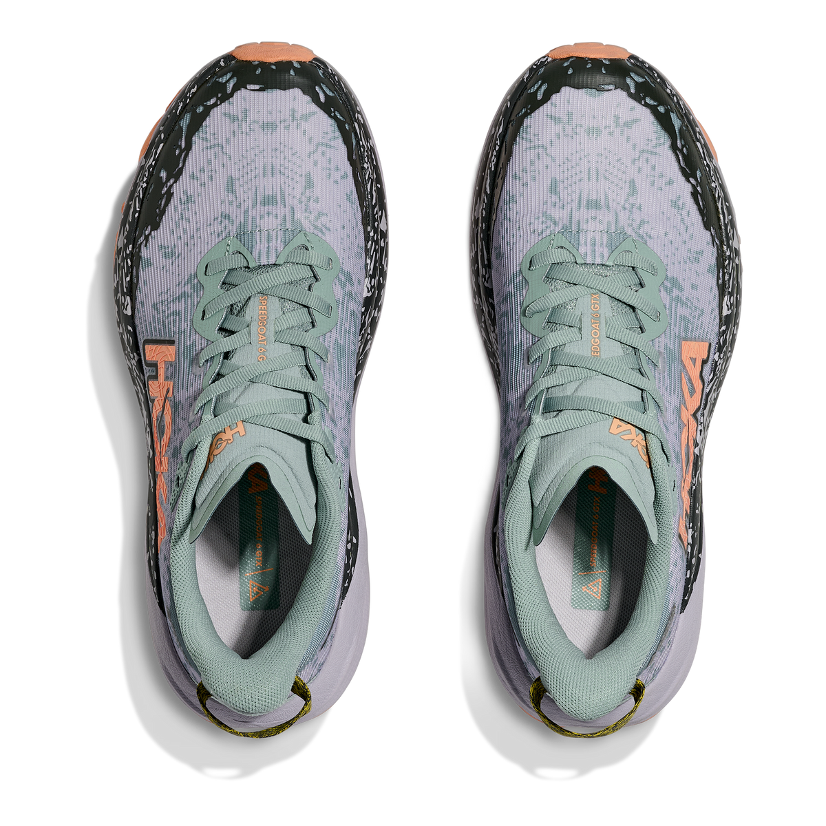 Women's Speedgoat 6 GTX