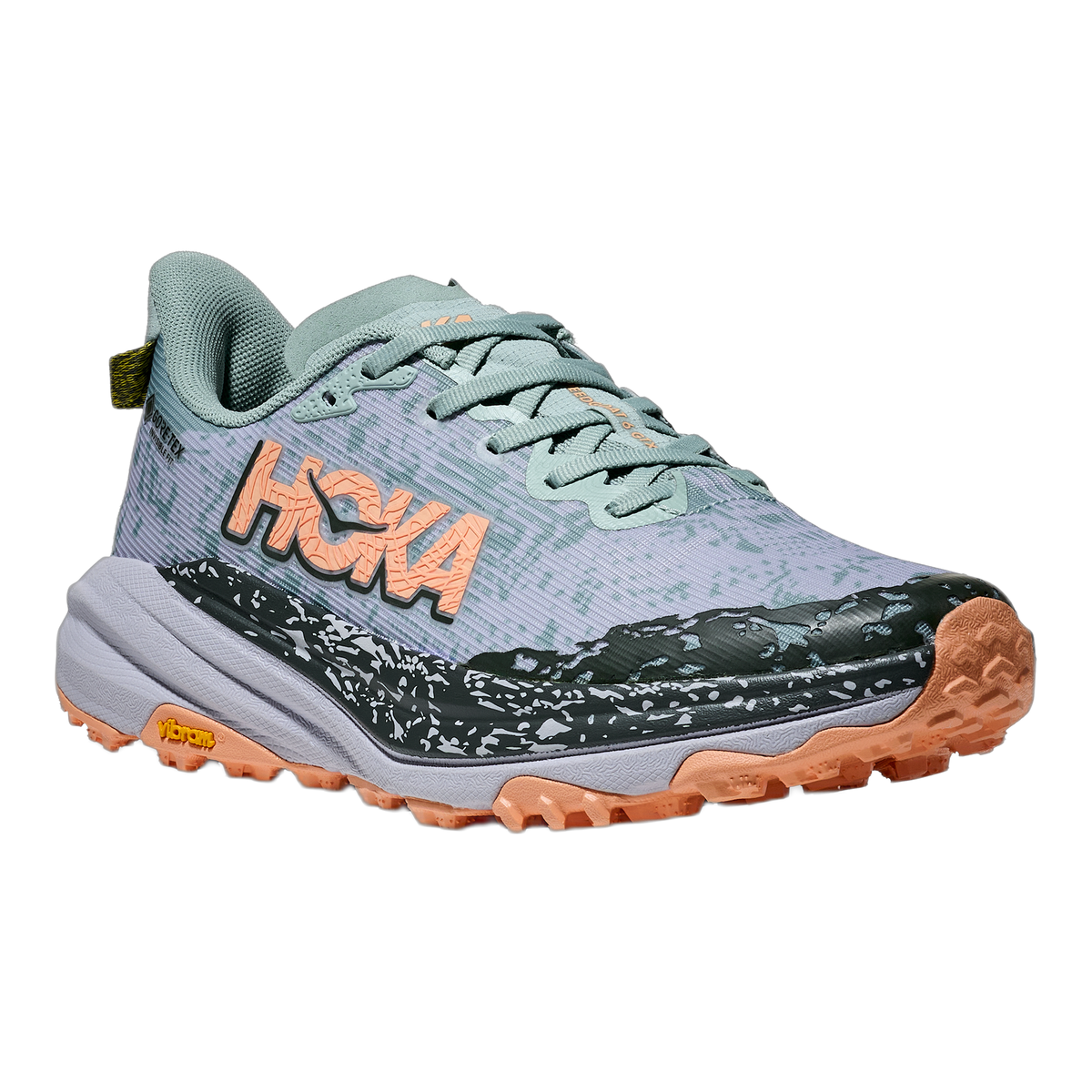 Women's Speedgoat 6 GTX