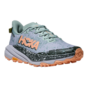 Women's Speedgoat 6 GTX