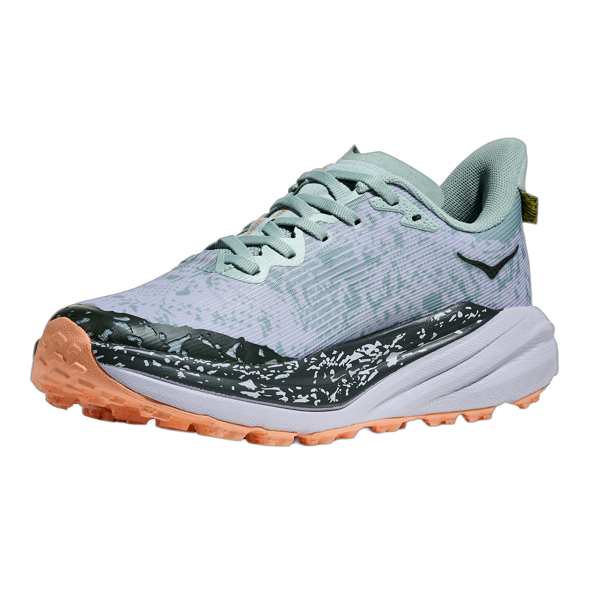 Women's Speedgoat 6 GTX