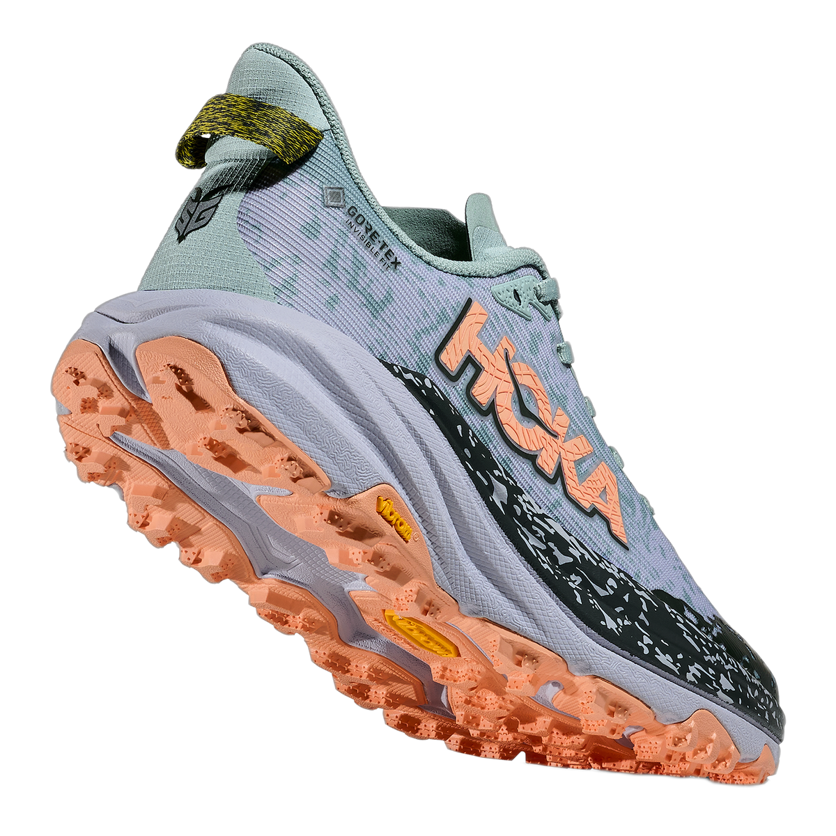 Women's Speedgoat 6 GTX