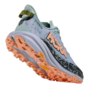 Women's Speedgoat 6 GTX