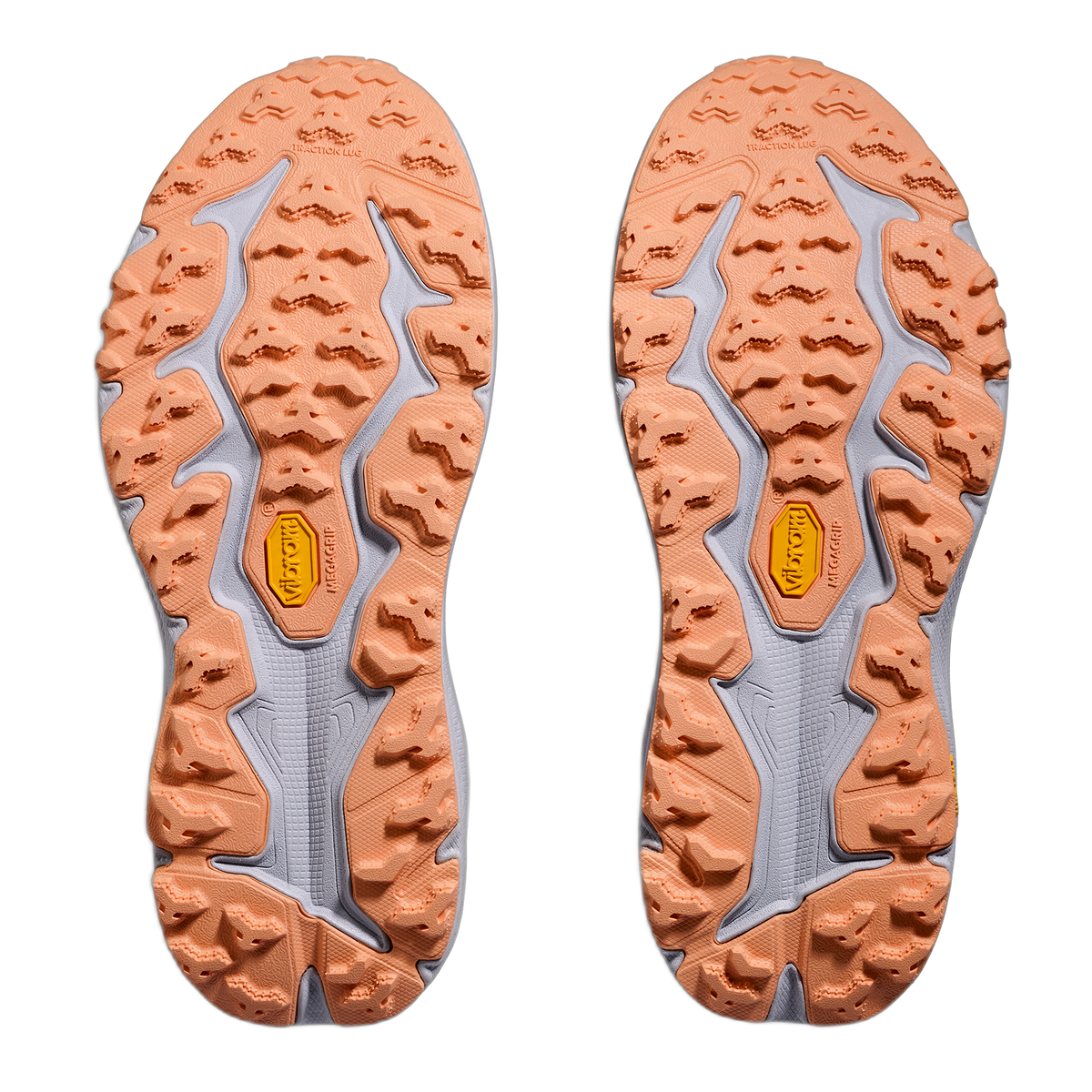 Women's Speedgoat 6 GTX