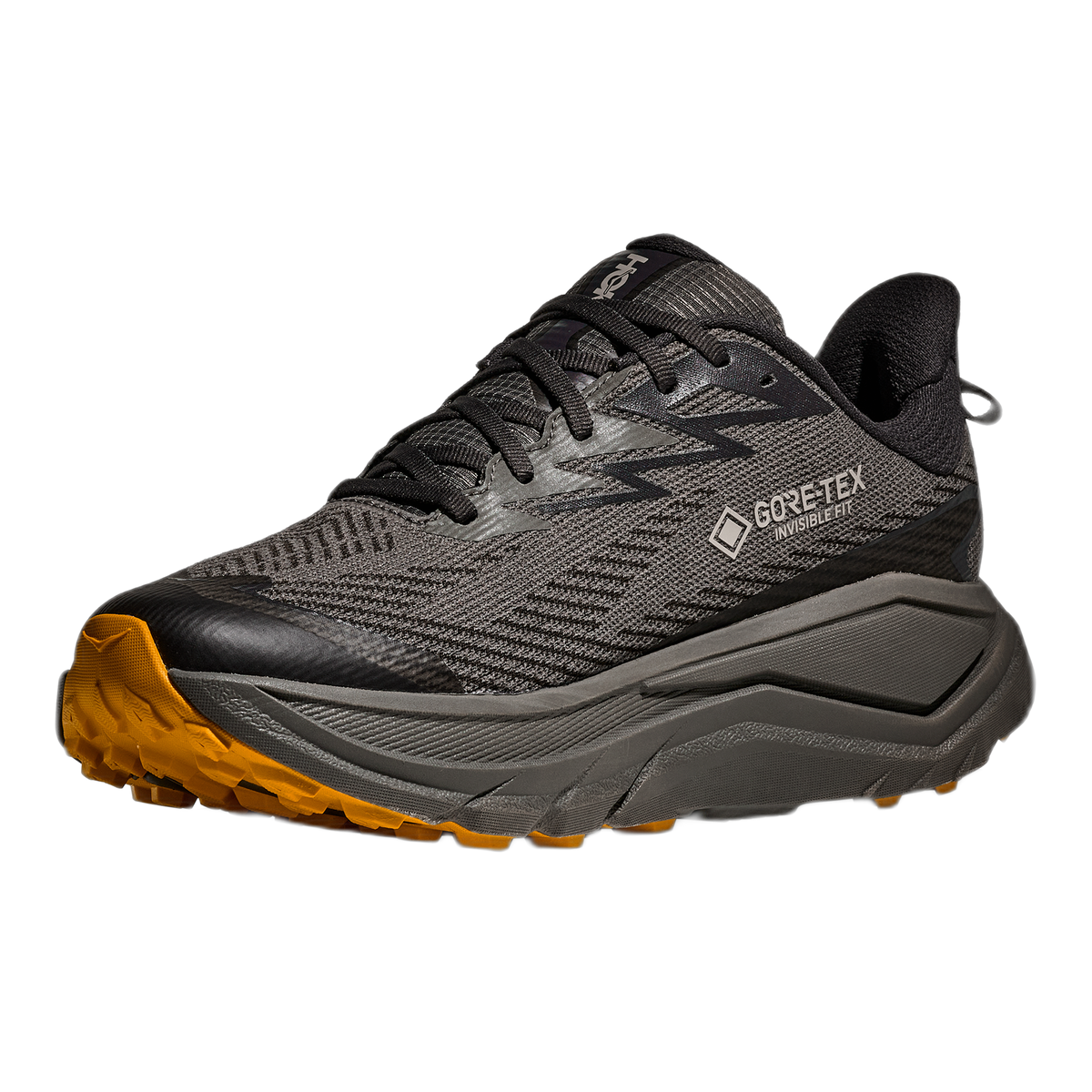 Men's Challenger 8 GTX