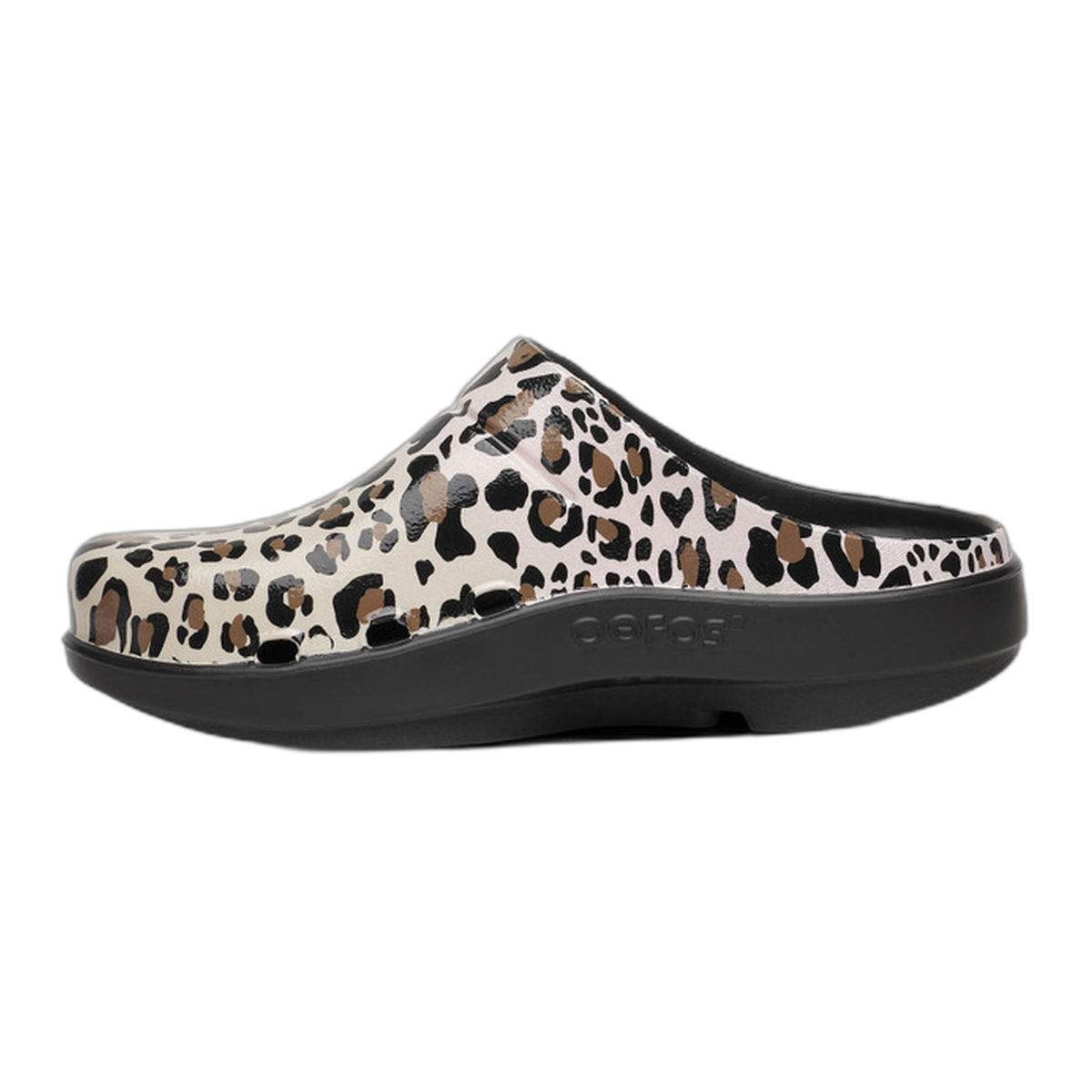 OOcloog Limited Edition